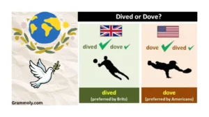 dive-or-dove
