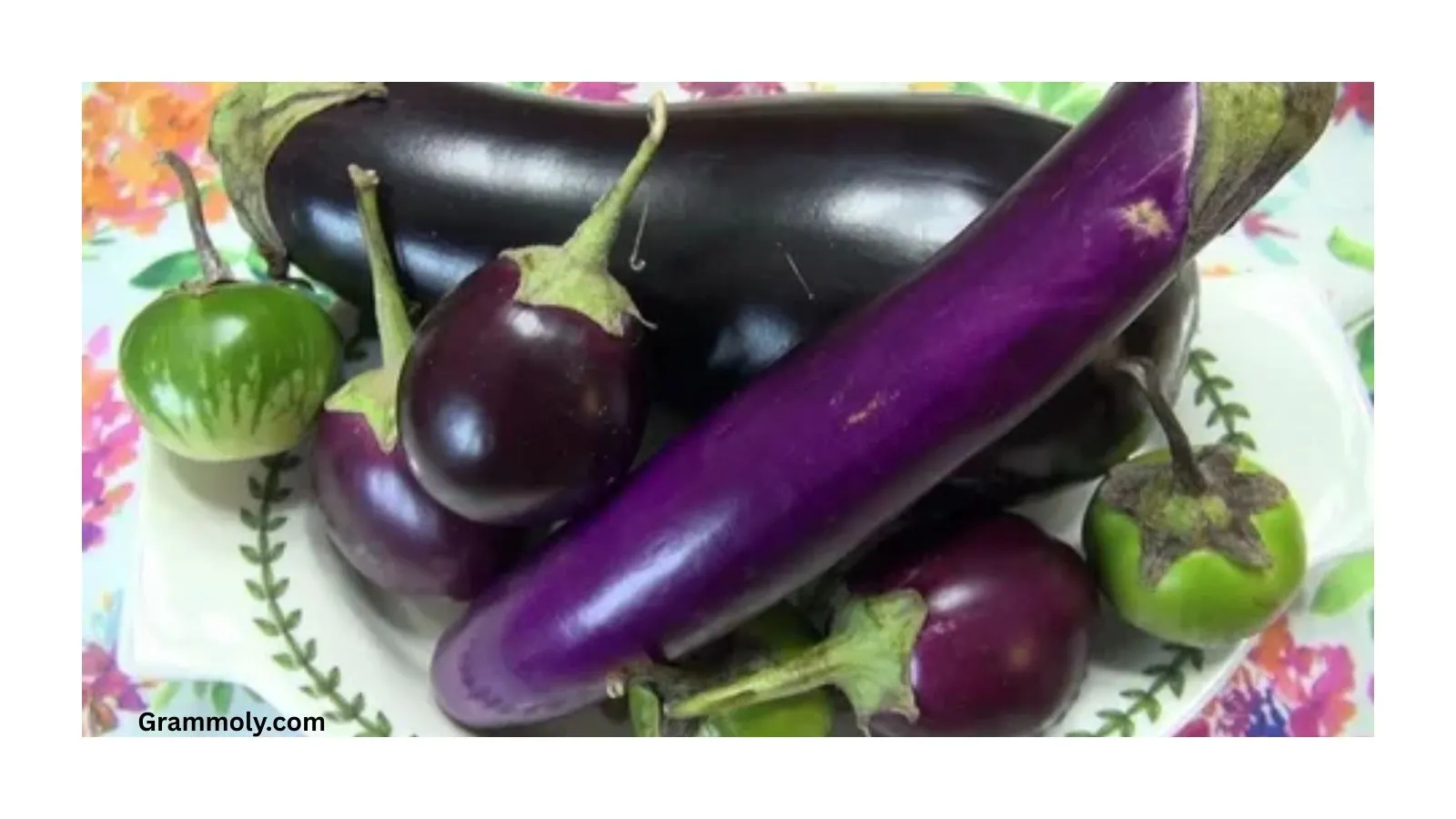 eggplant-fruit-or-vegetable
