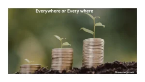 everywhere-or-every-where