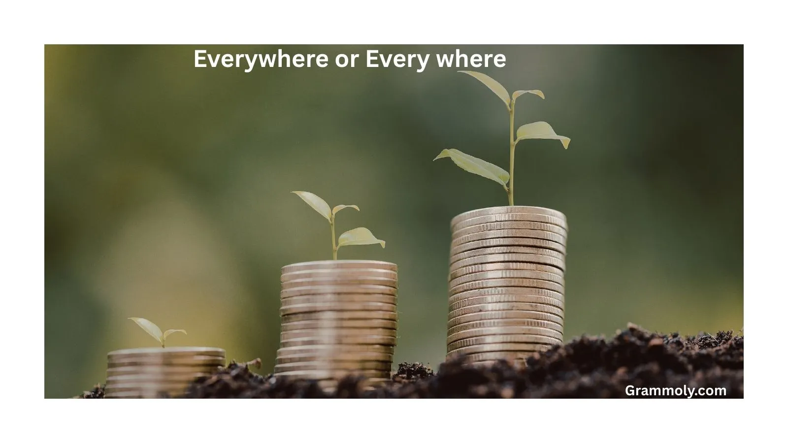 everywhere-or-every-where