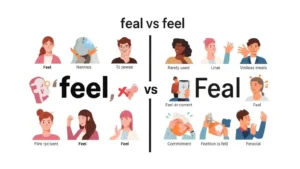 feal-vs-feel