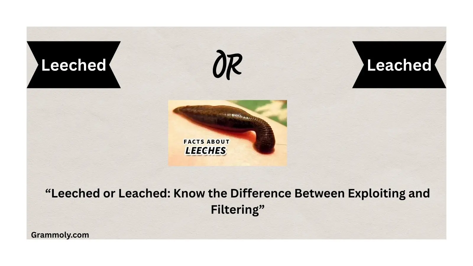 leeched-or-leached