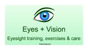 vision-or-eyesight