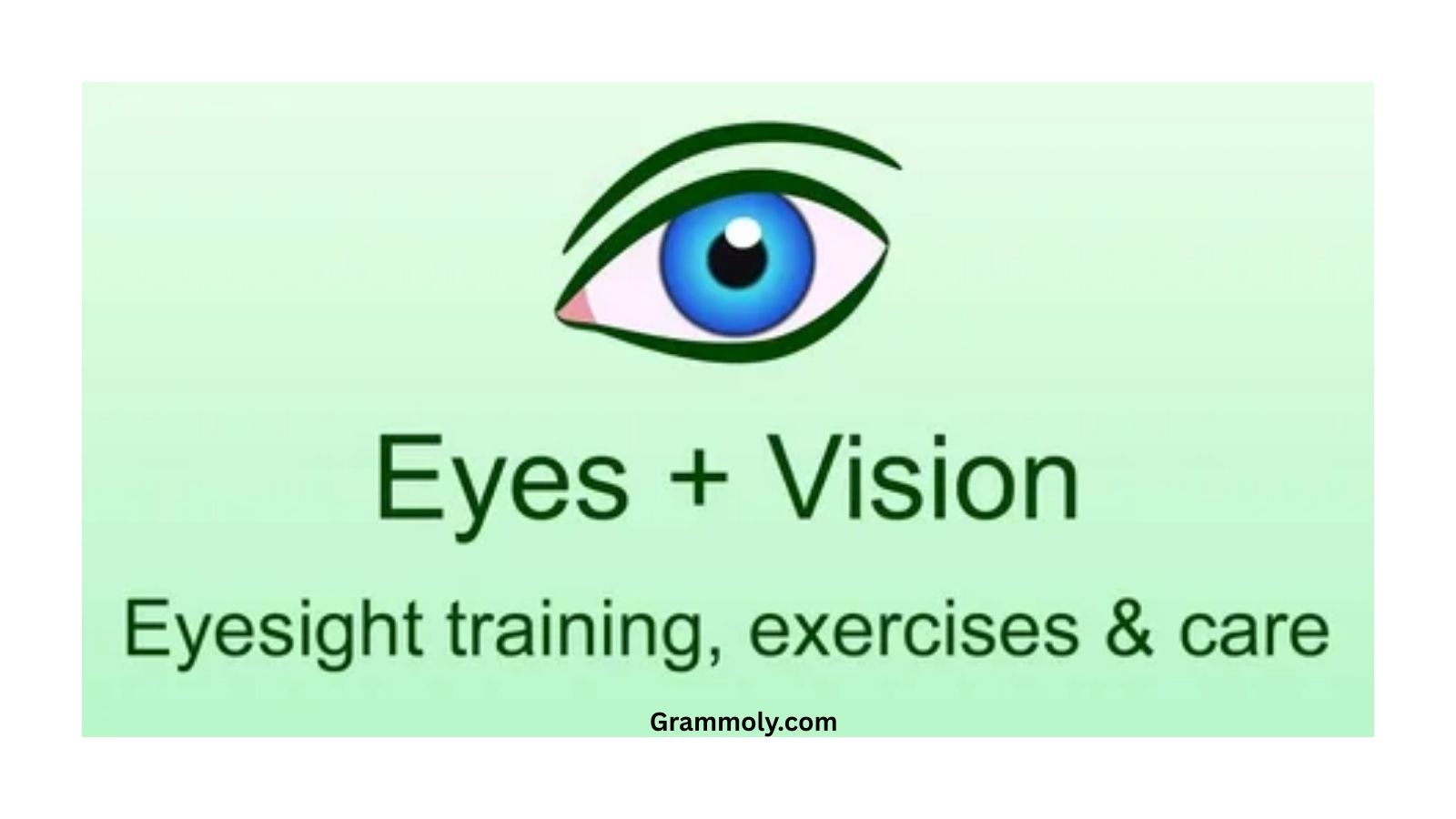 vision-or-eyesight