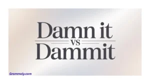 dammit-vs-damn-it
